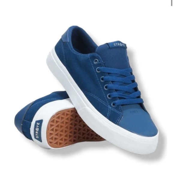Straye Other - STRAYE Stanley Dixon Navy Suede Skate Shoes